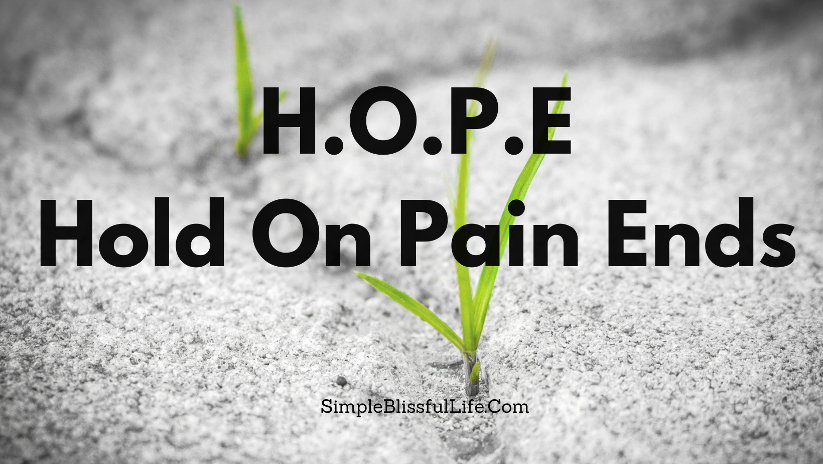 hold-on-pain-ends-hope-simple-blissful-life